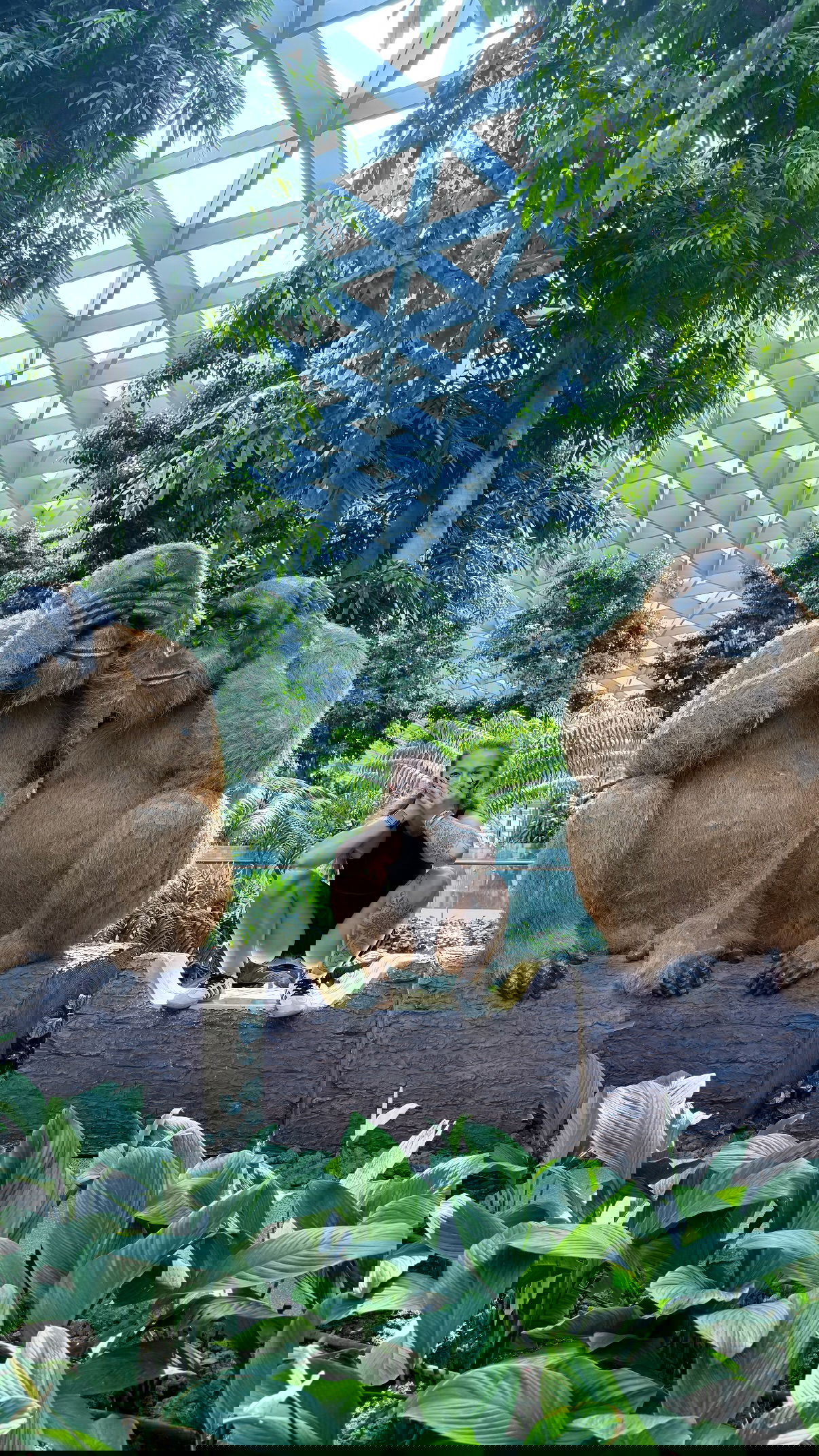 kesemgreenyer instagram image archive image