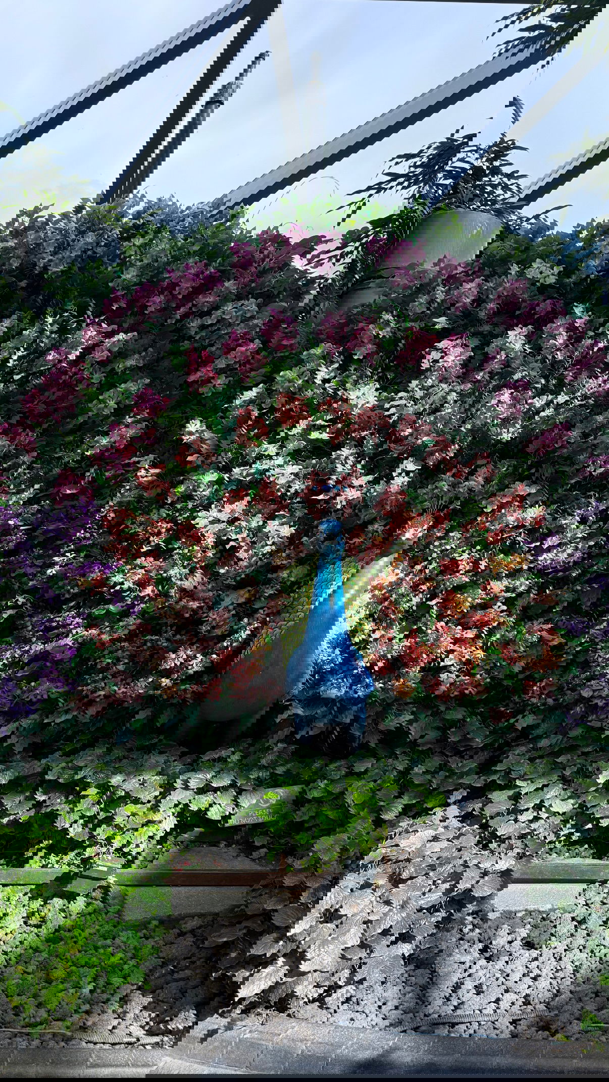 kesemgreenyer instagram image archive image