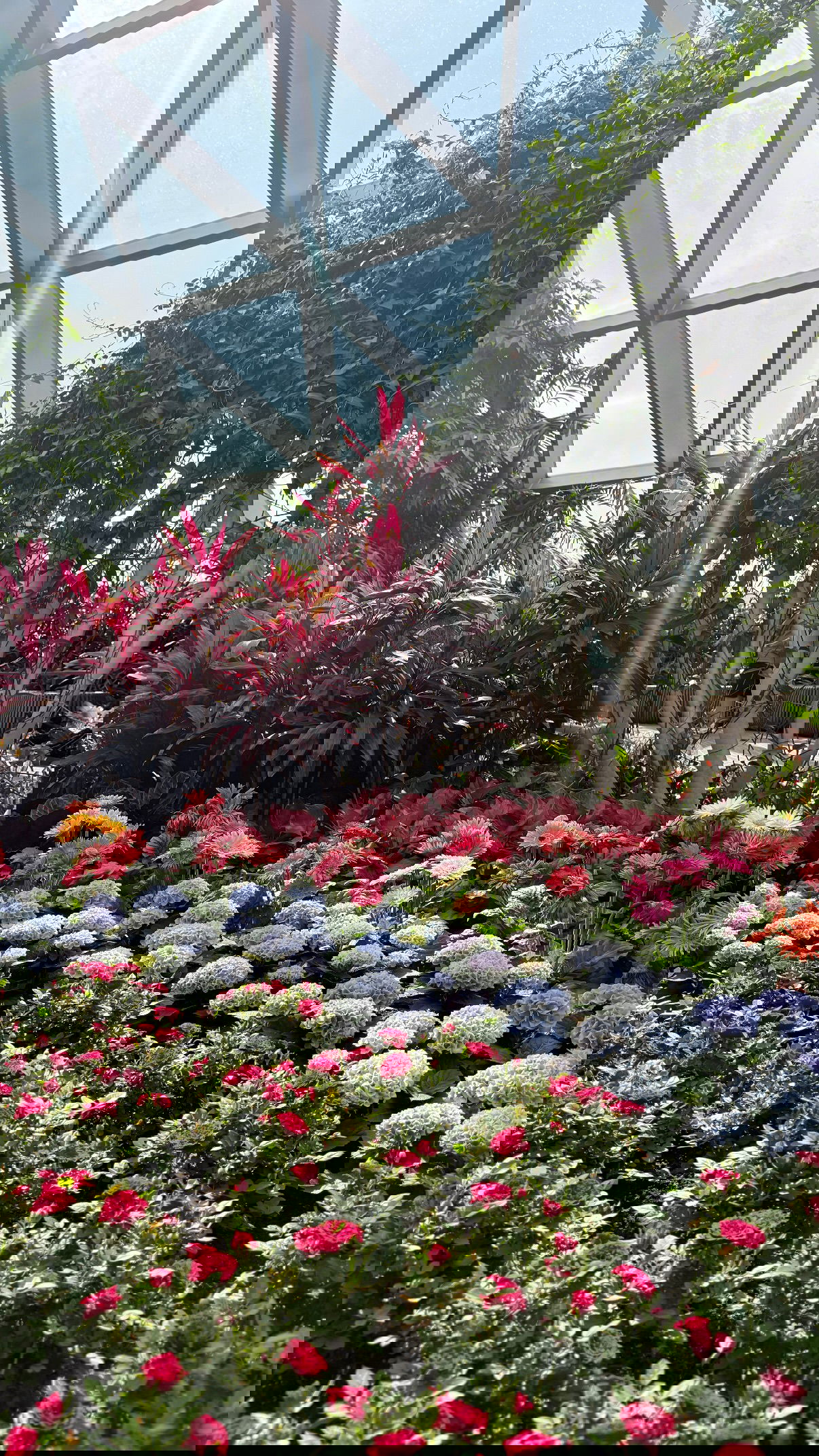 kesemgreenyer instagram image archive image