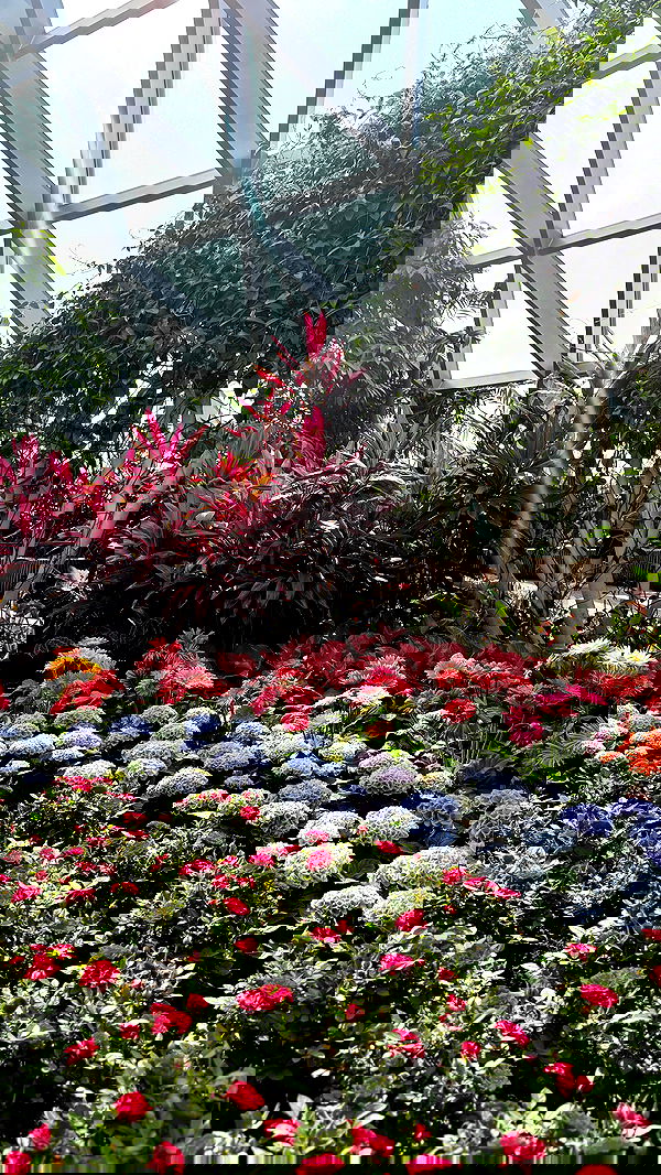 kesemgreenyer image ~ Altpins