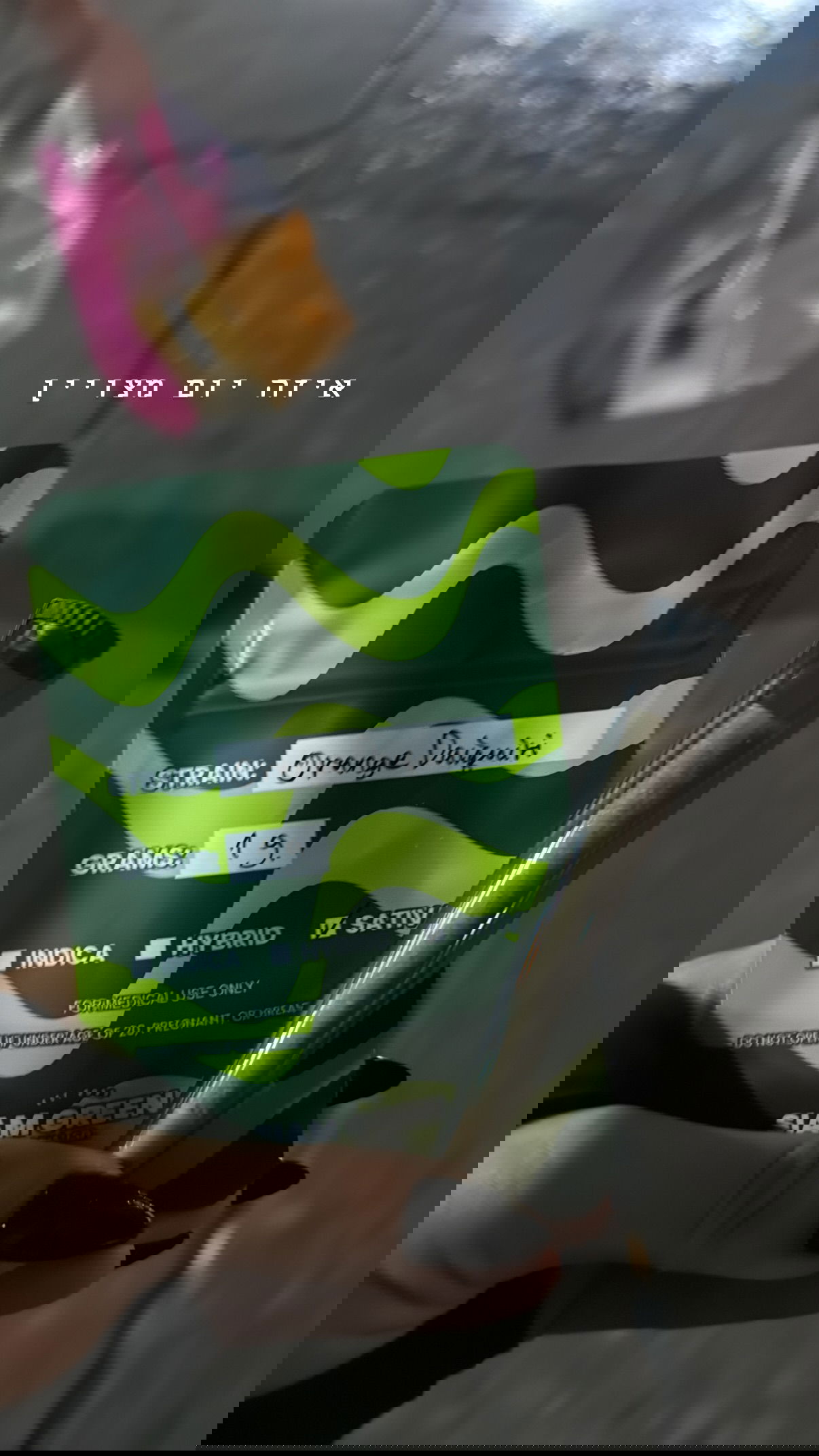 kesemgreenyer instagram image archive image