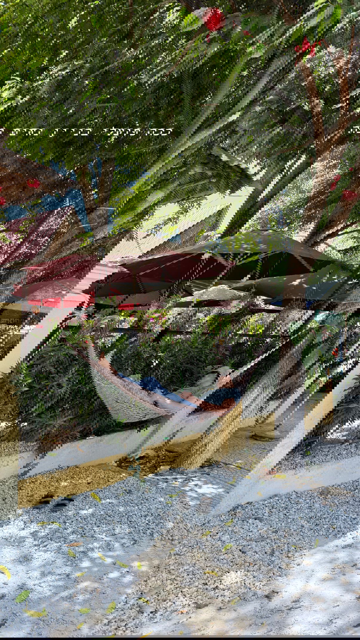 kesemgreenyer instagram image archive image