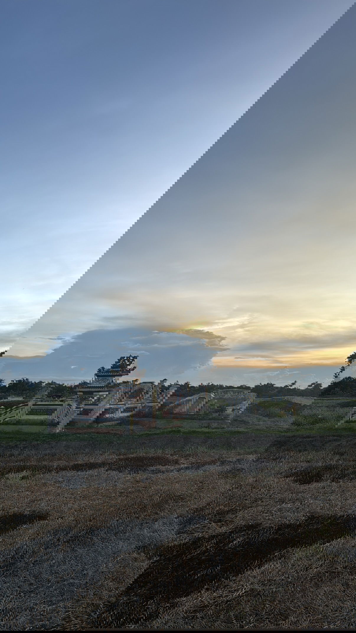 kesemgreenyer instagram image archive image