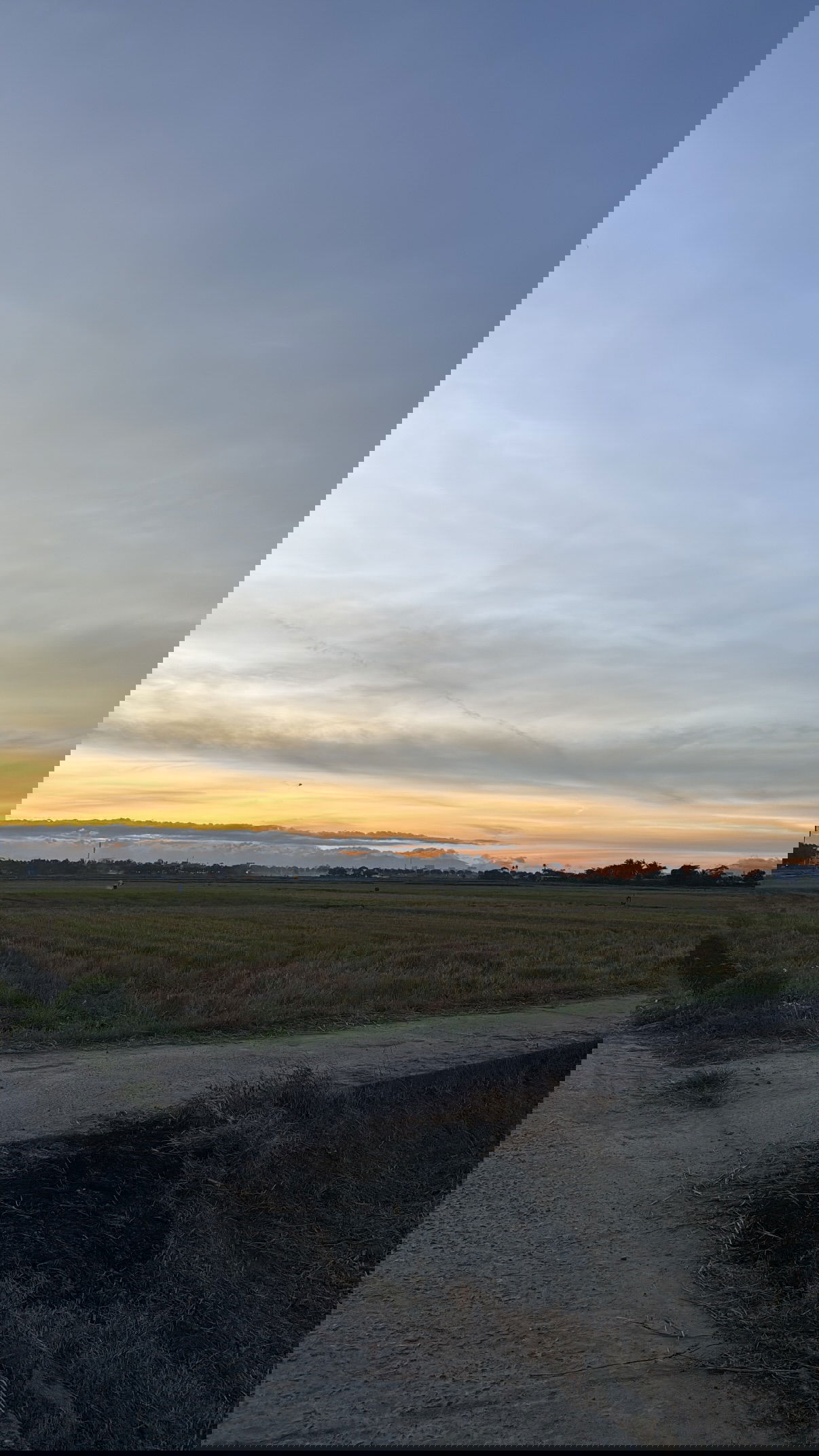 kesemgreenyer instagram image archive image