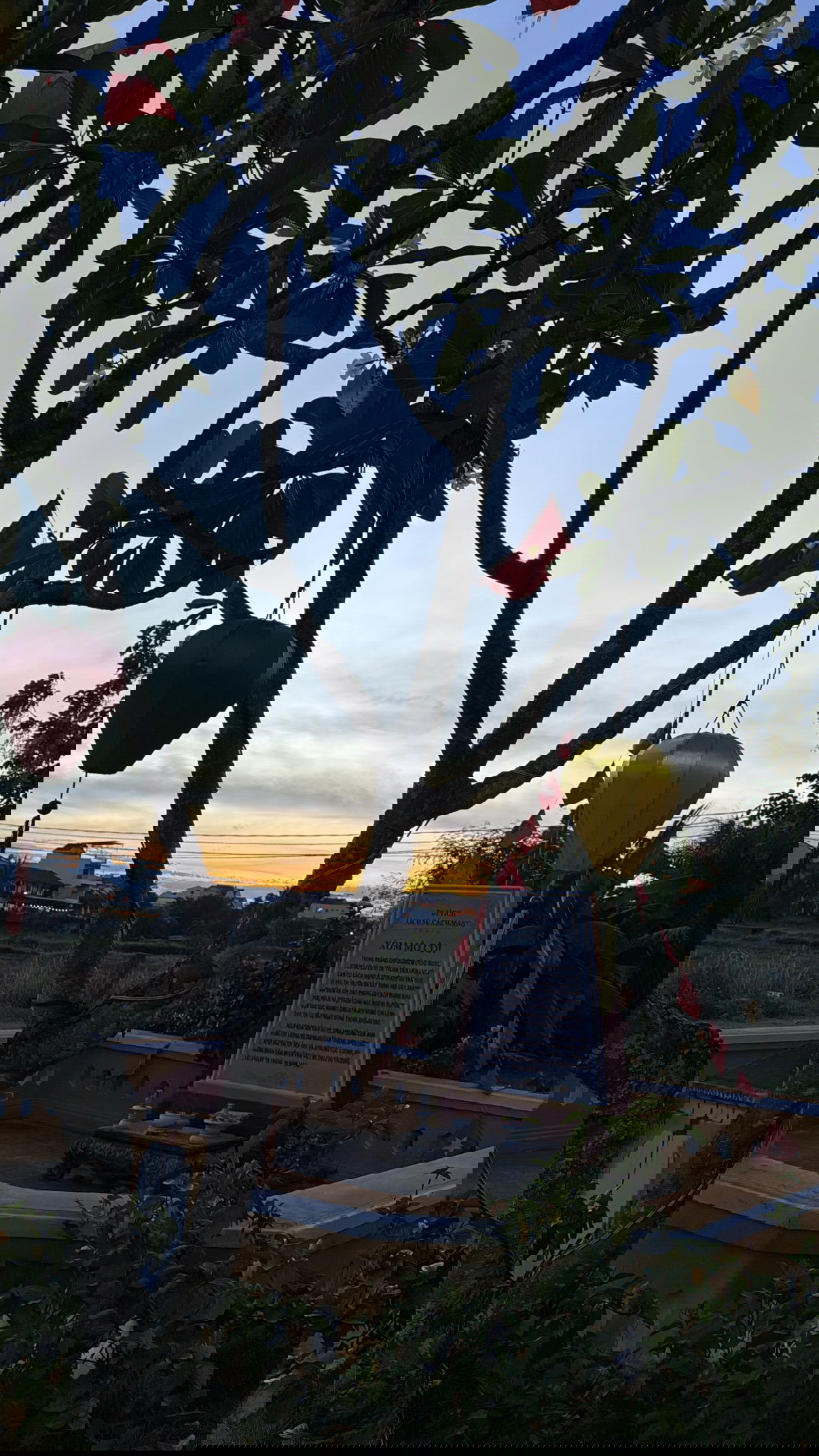 kesemgreenyer instagram image archive image