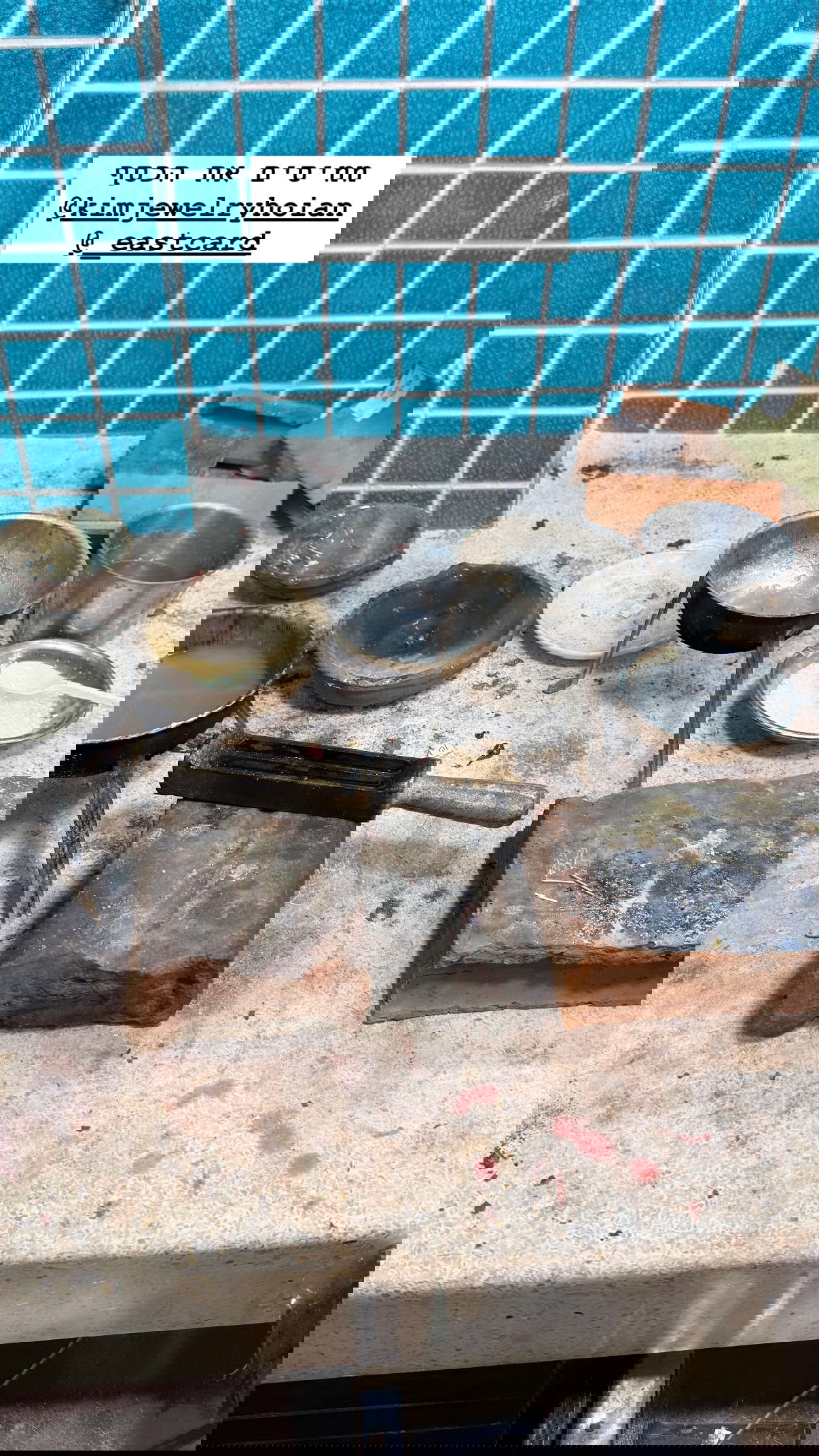 kesemgreenyer instagram image archive image