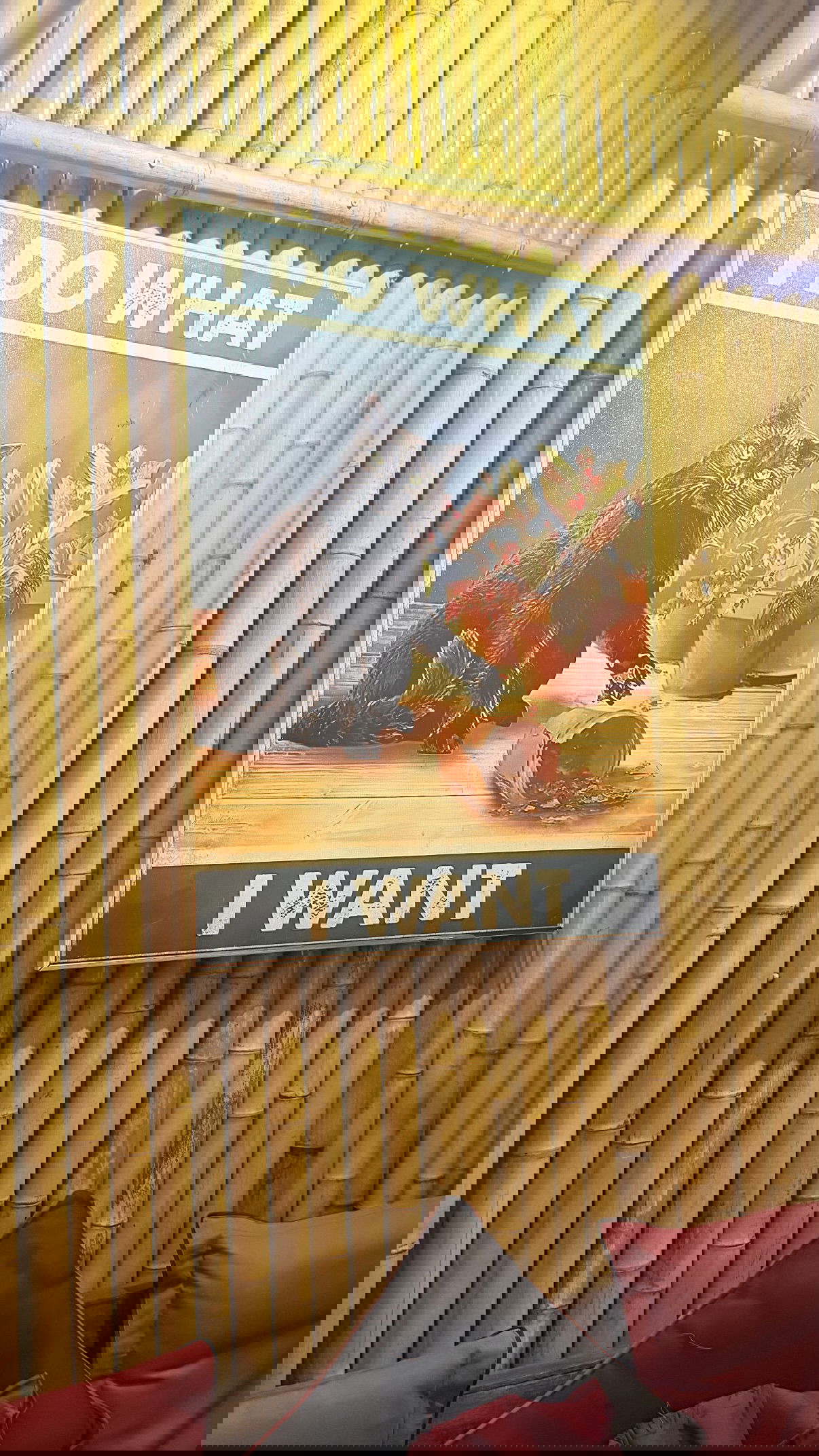 kesemgreenyer instagram image archive image