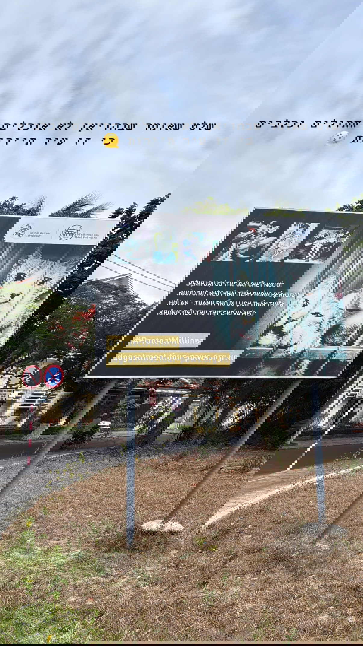 kesemgreenyer instagram image archive image