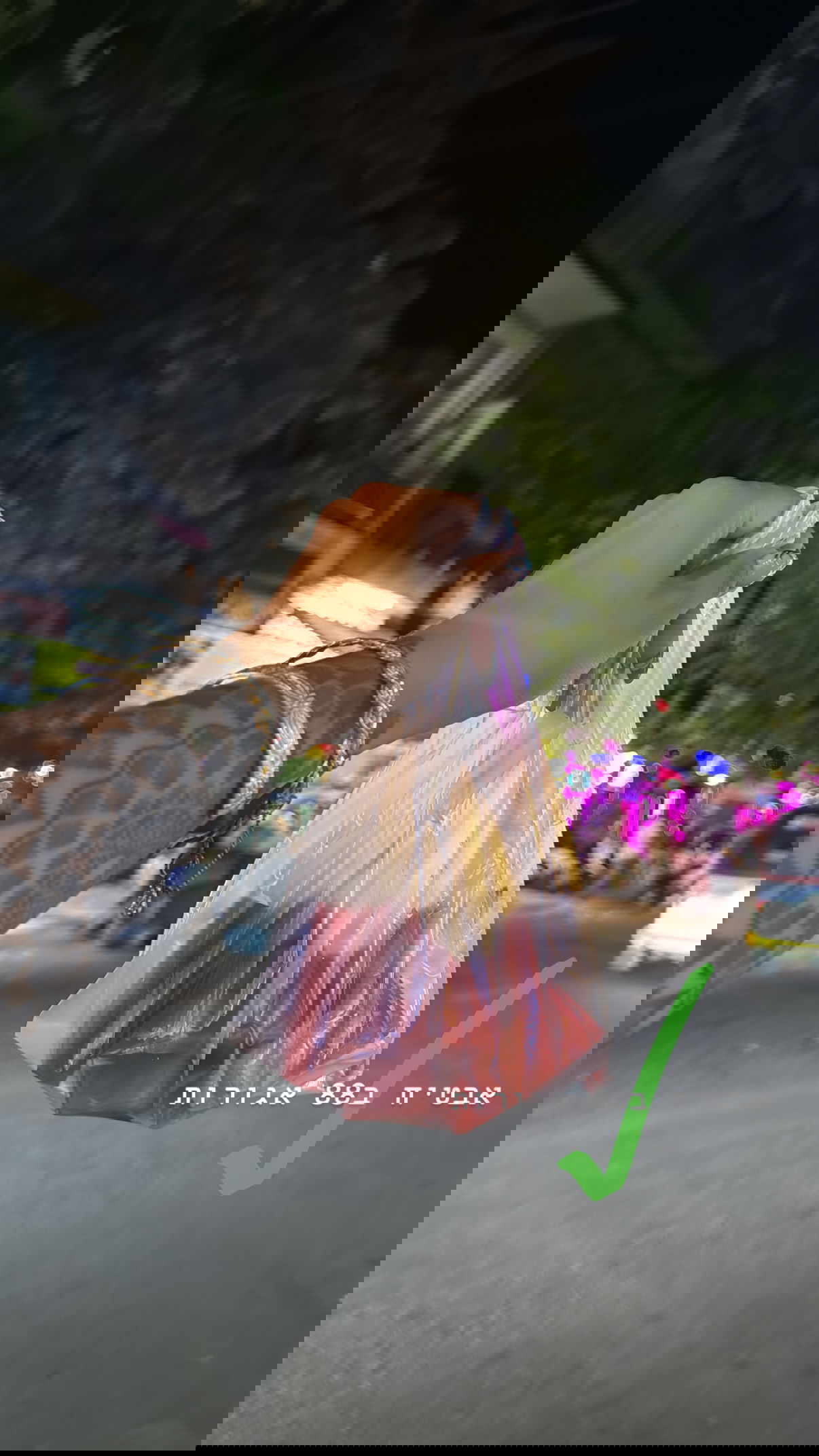 kesemgreenyer instagram image archive image