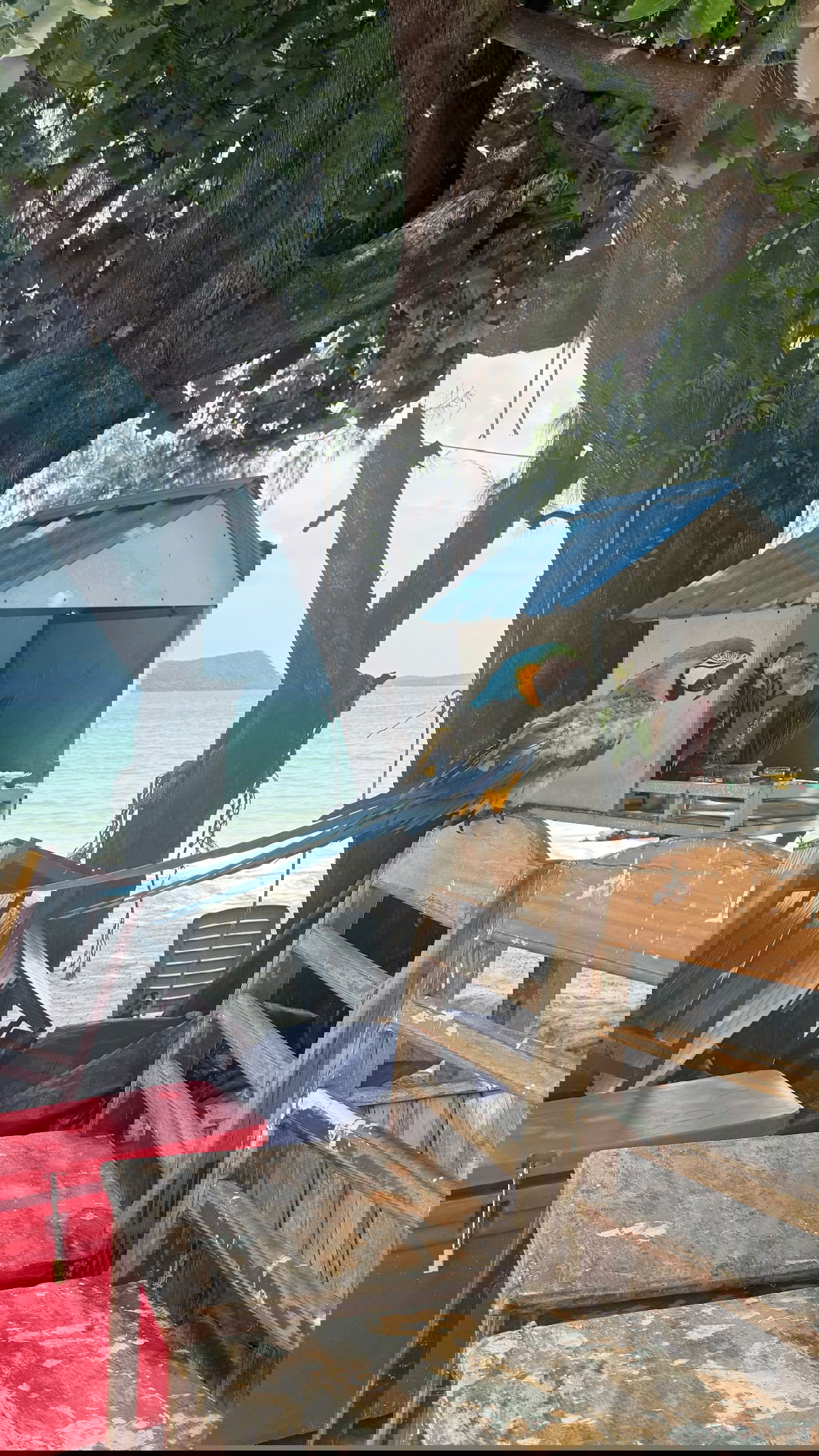 kesemgreenyer instagram image archive image