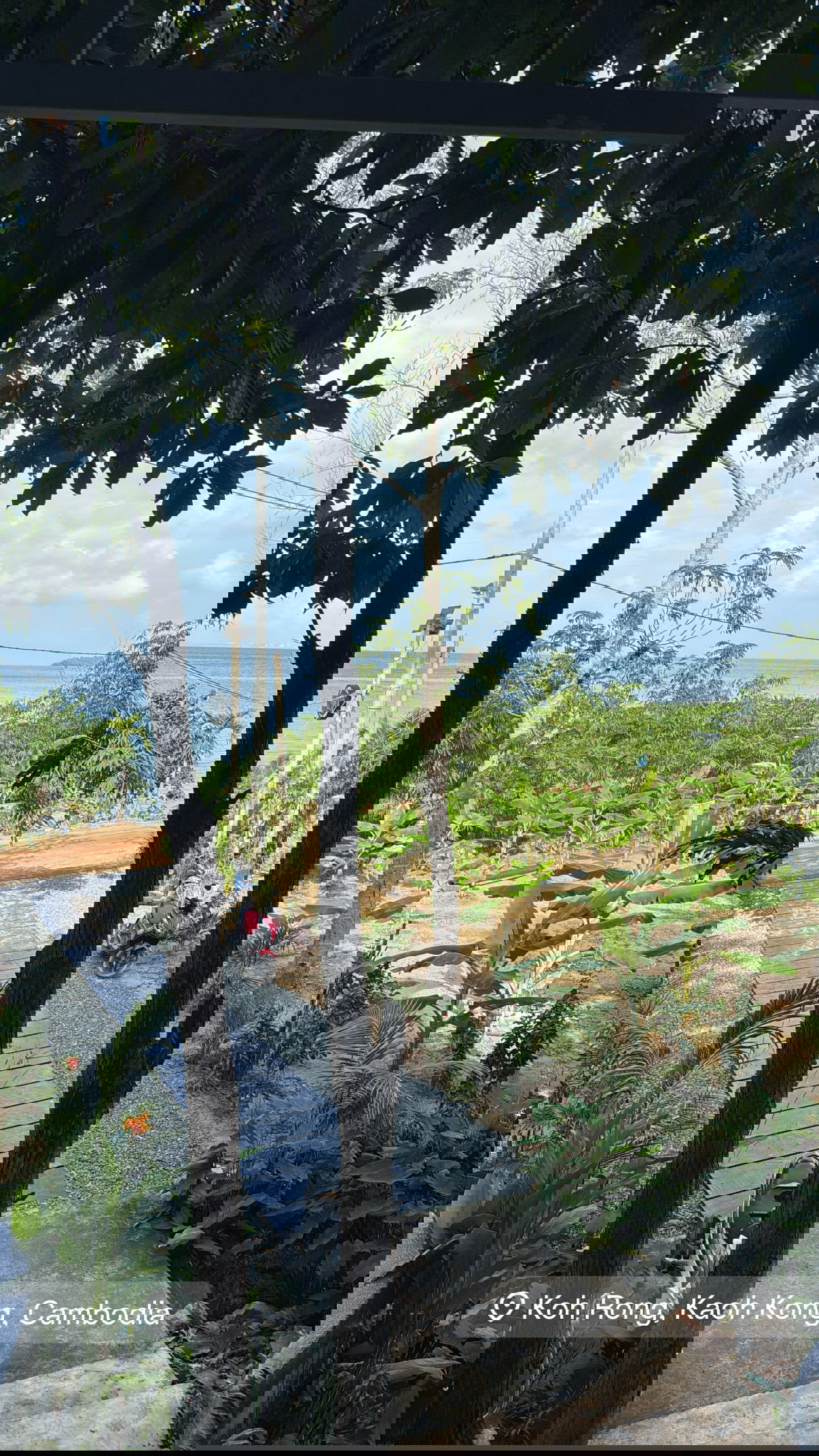 kesemgreenyer instagram image archive image