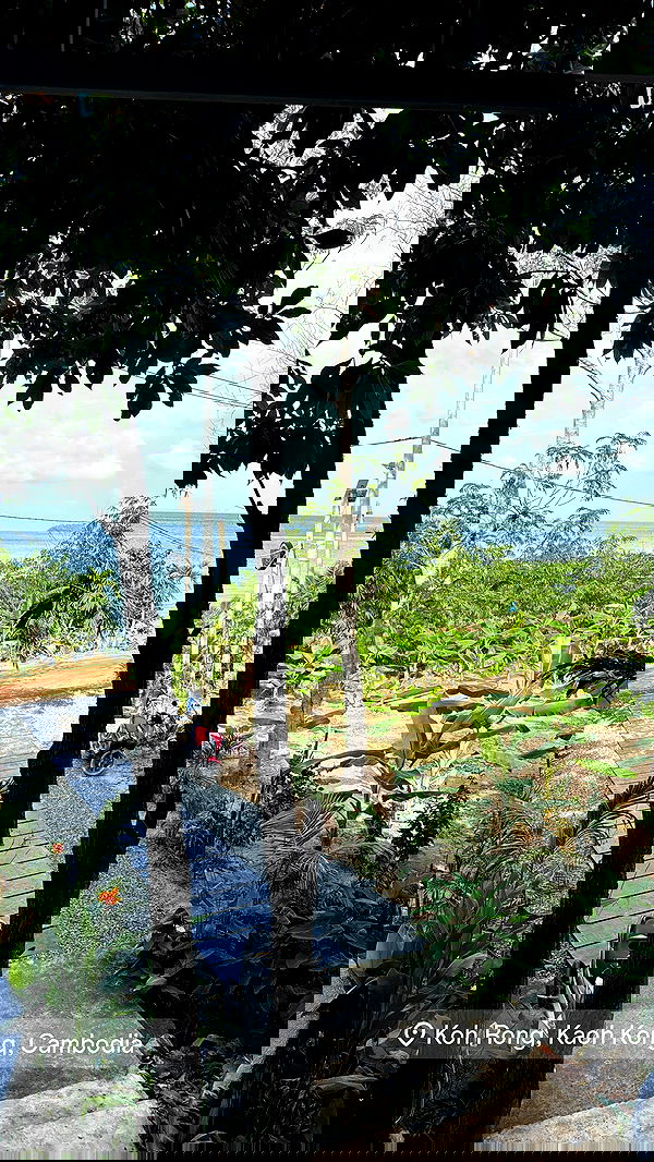 kesemgreenyer image ~ Altpins