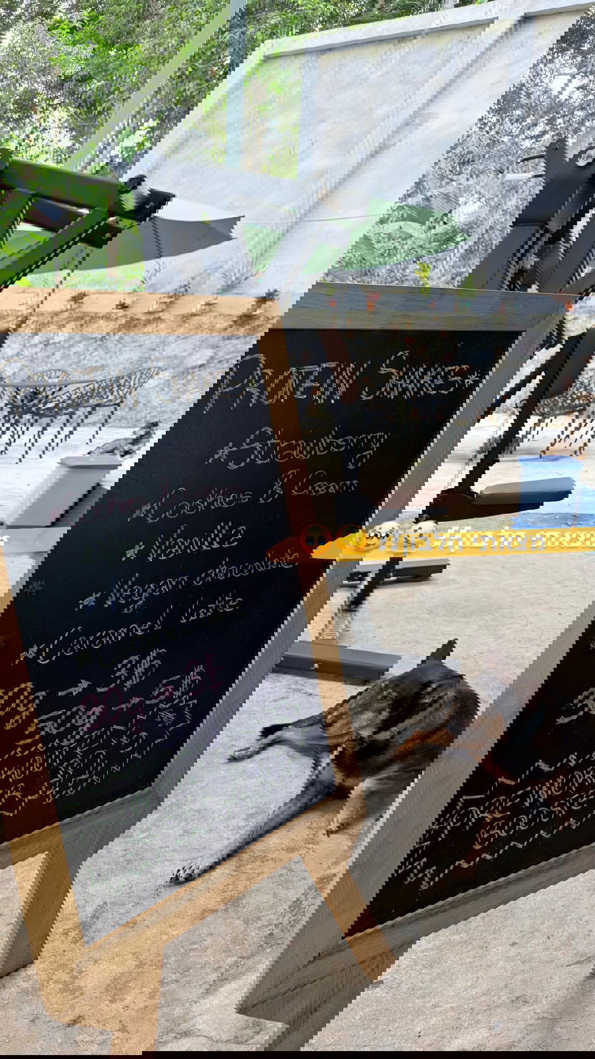 kesemgreenyer instagram image archive image