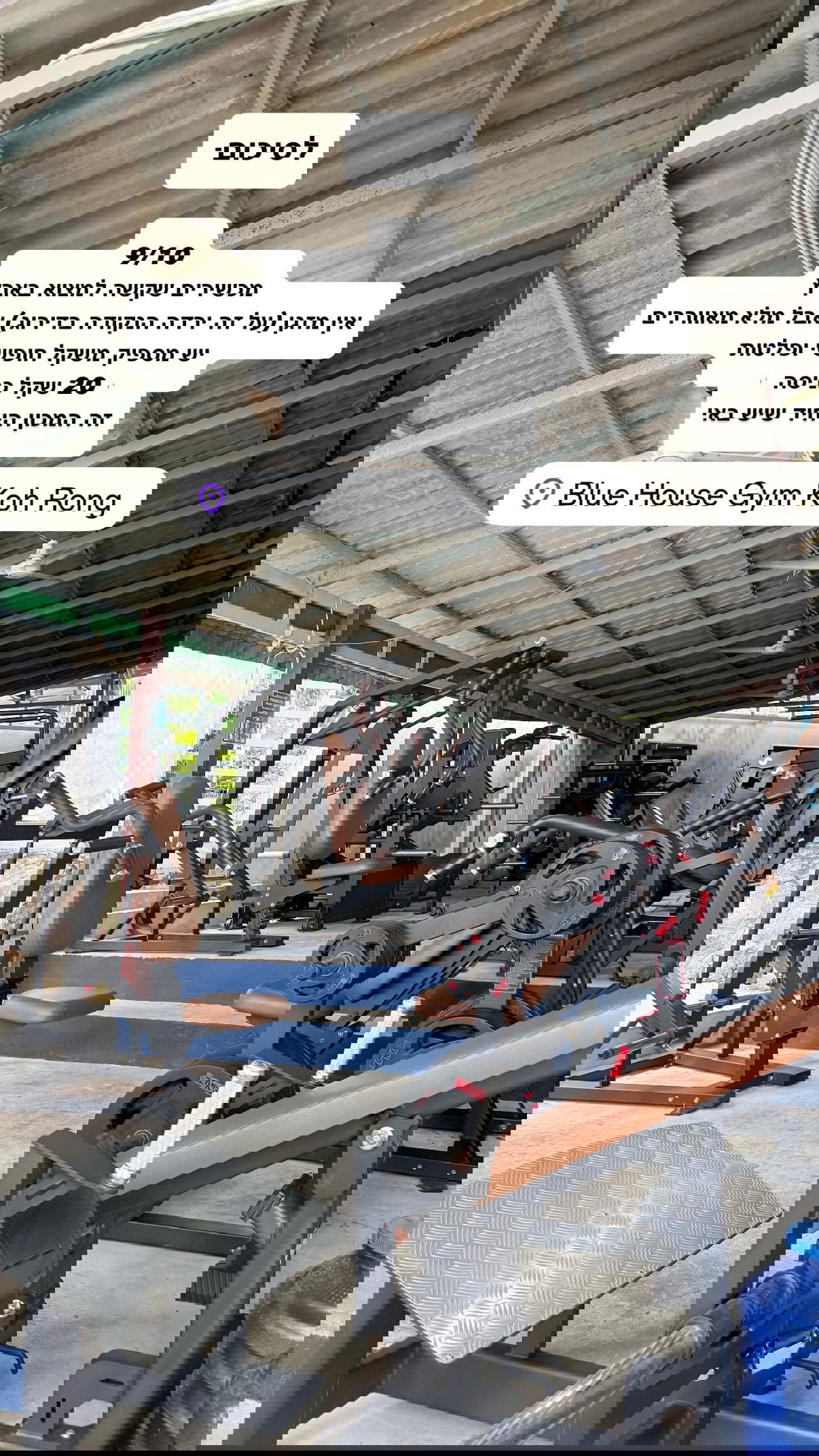 kesemgreenyer instagram image archive image