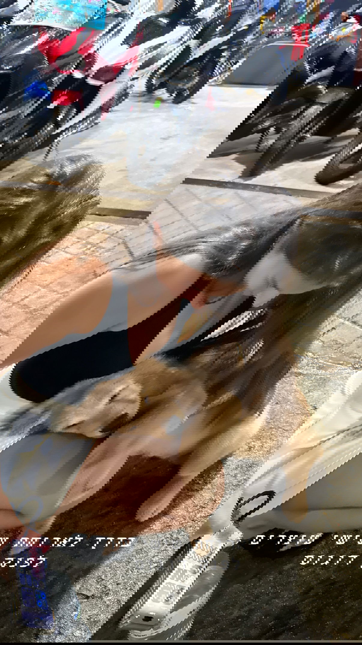 kesemgreenyer instagram image archive image