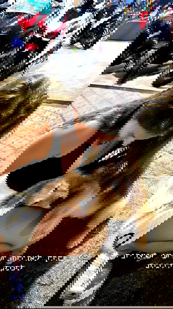 kesemgreenyer image ~ Altpins