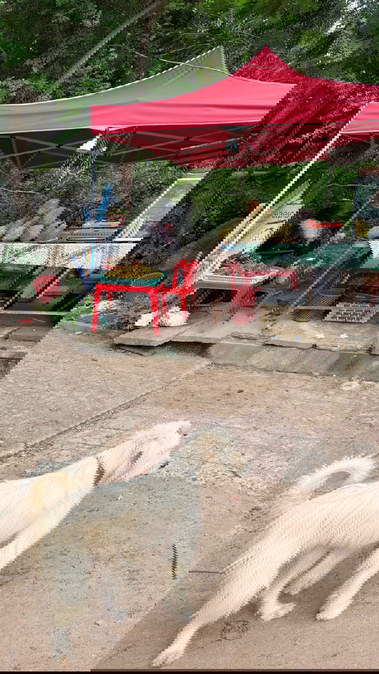 kesemgreenyer instagram image archive image