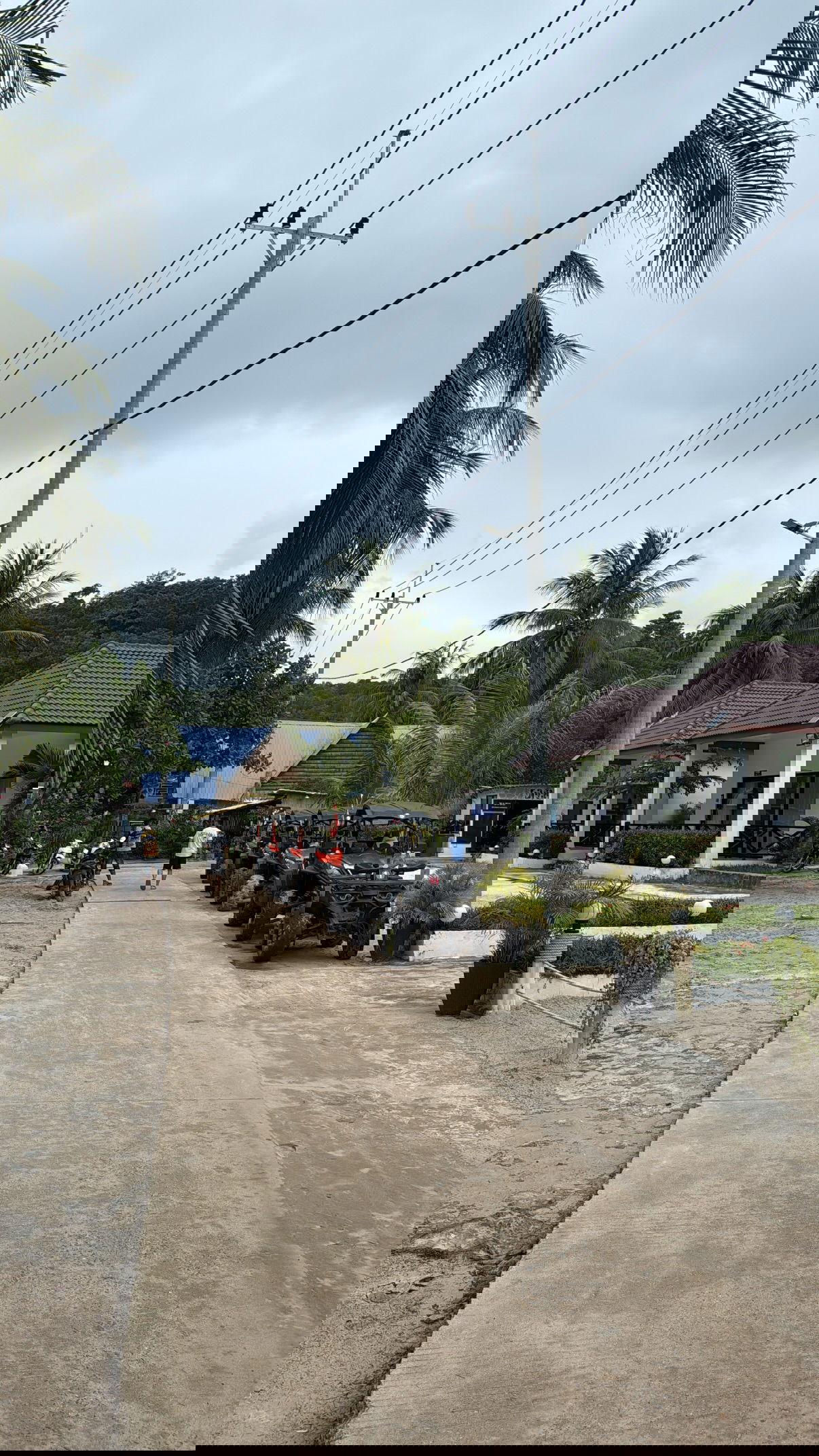 kesemgreenyer instagram image archive image