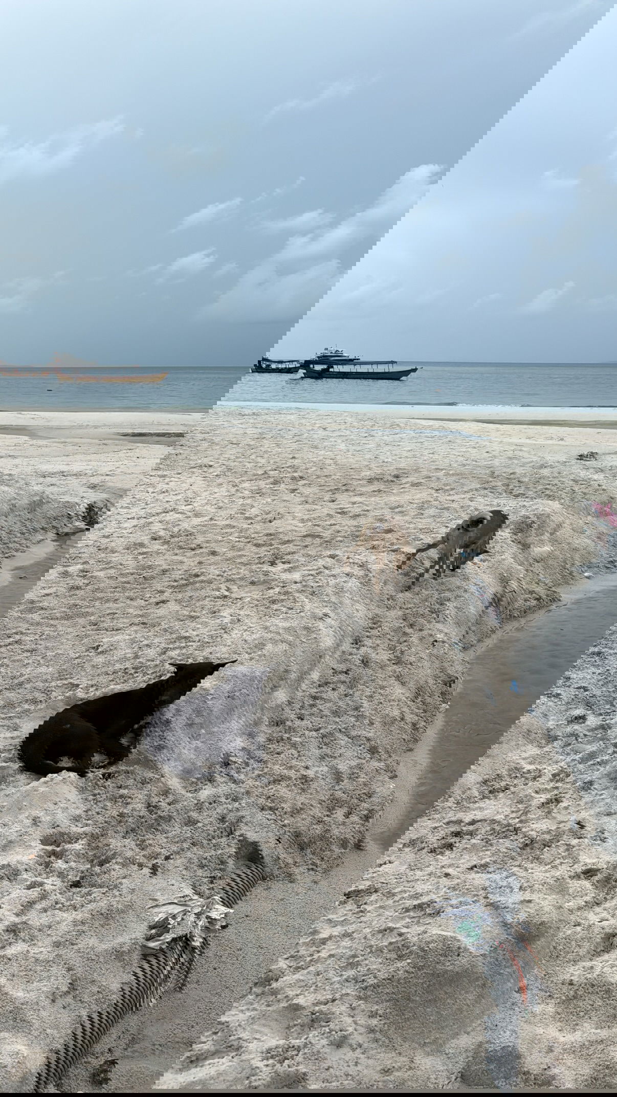 kesemgreenyer instagram image archive image