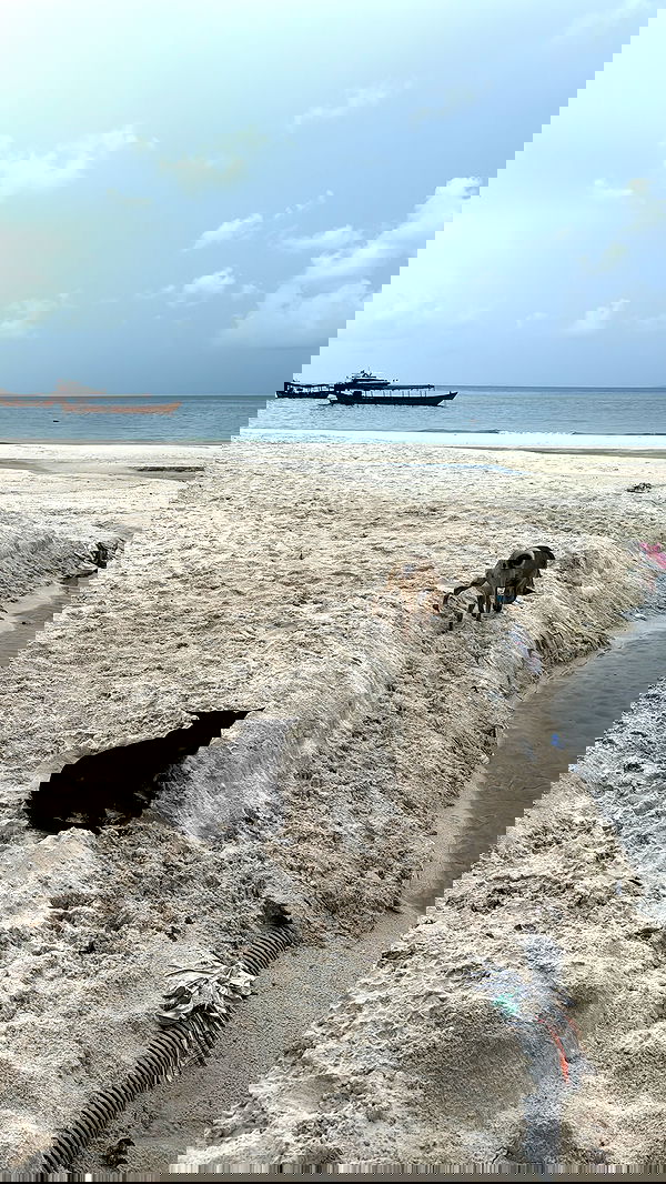 kesemgreenyer image ~ Altpins