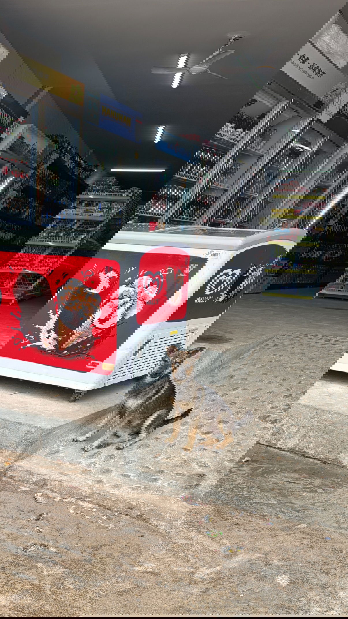 kesemgreenyer instagram image archive image