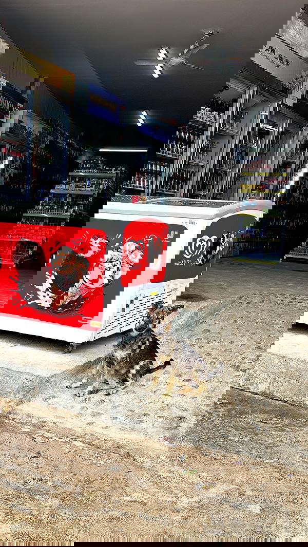 kesemgreenyer image ~ Altpins