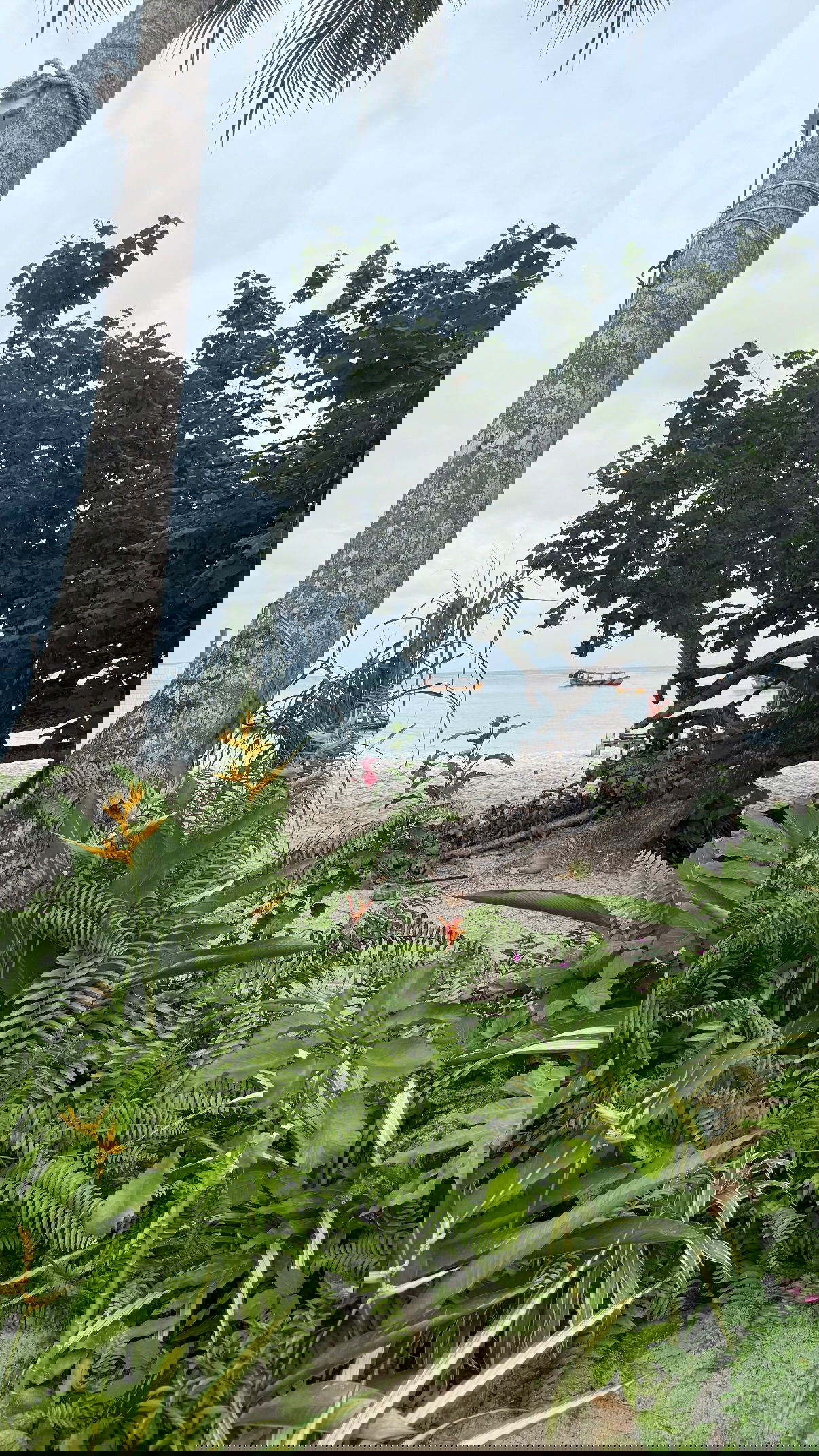 kesemgreenyer instagram image archive image