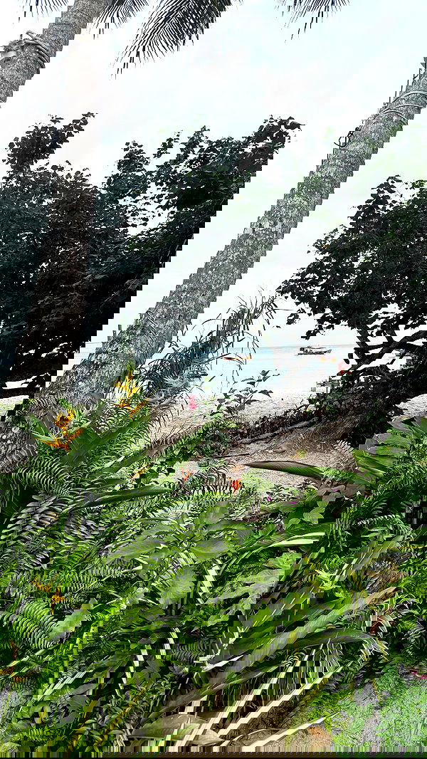 kesemgreenyer image ~ Altpins