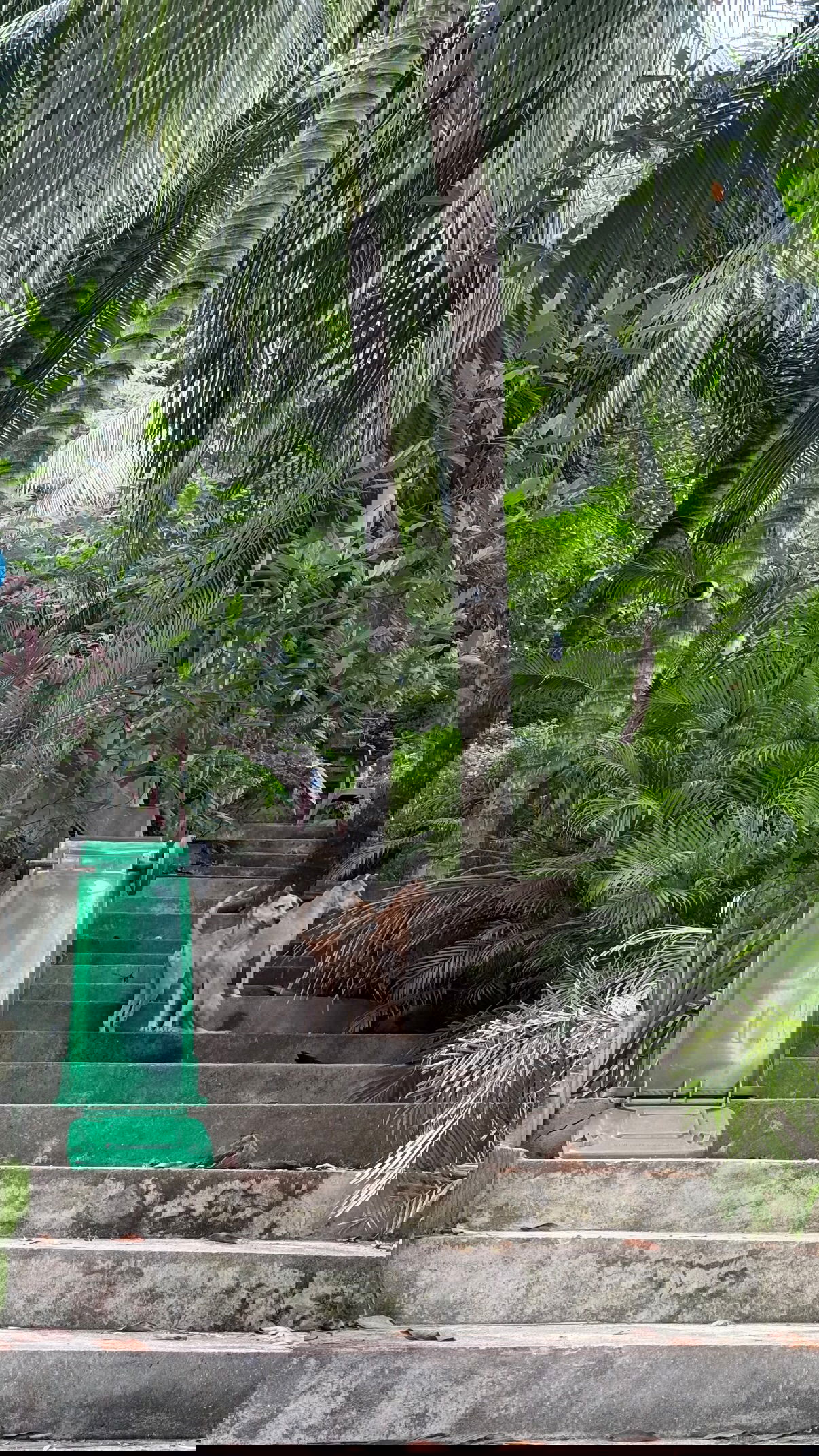 kesemgreenyer instagram image archive image