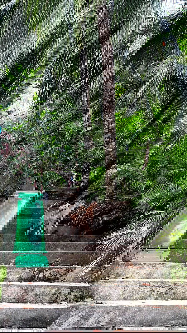 kesemgreenyer image ~ Altpins