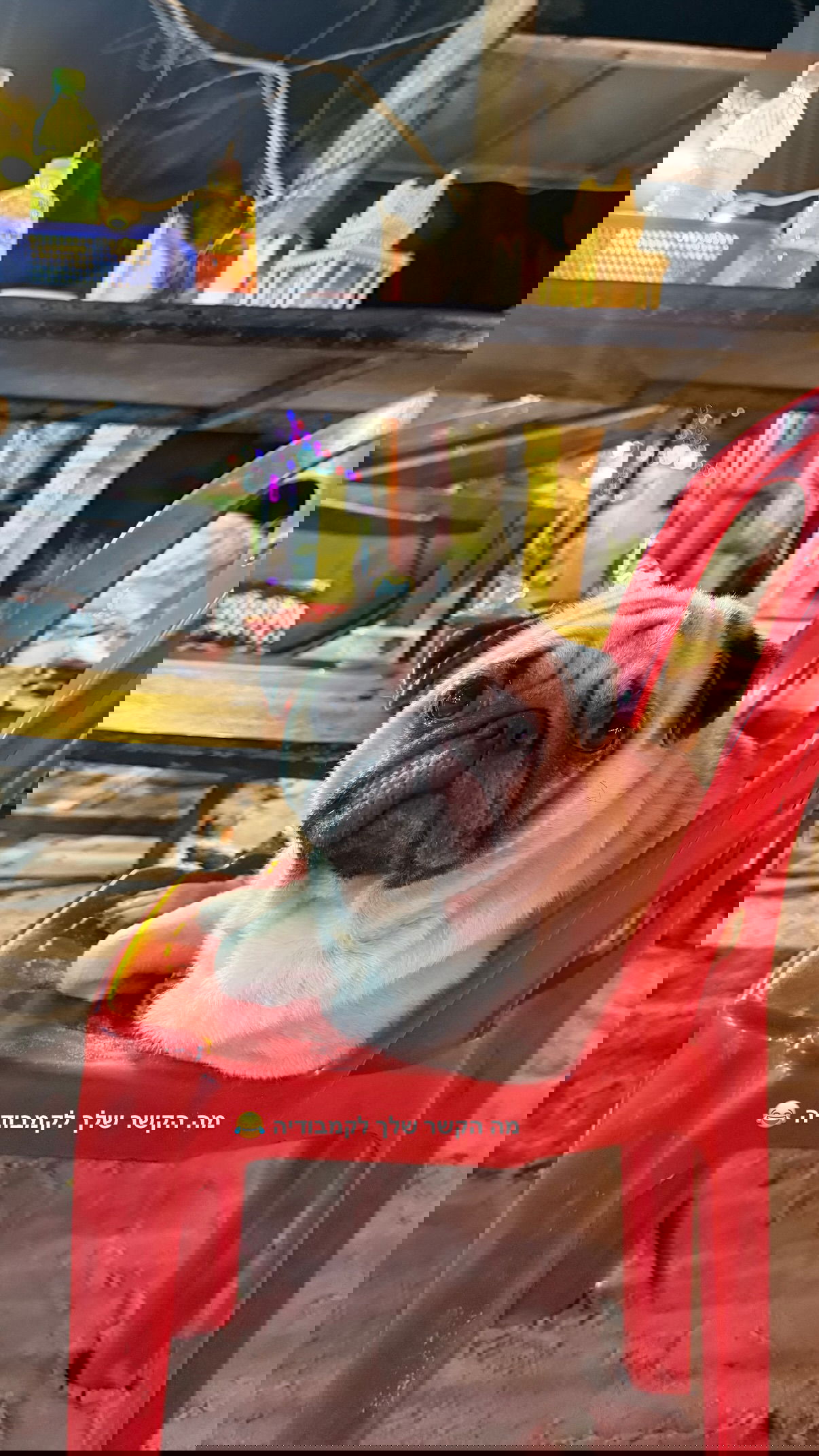 kesemgreenyer instagram image archive image