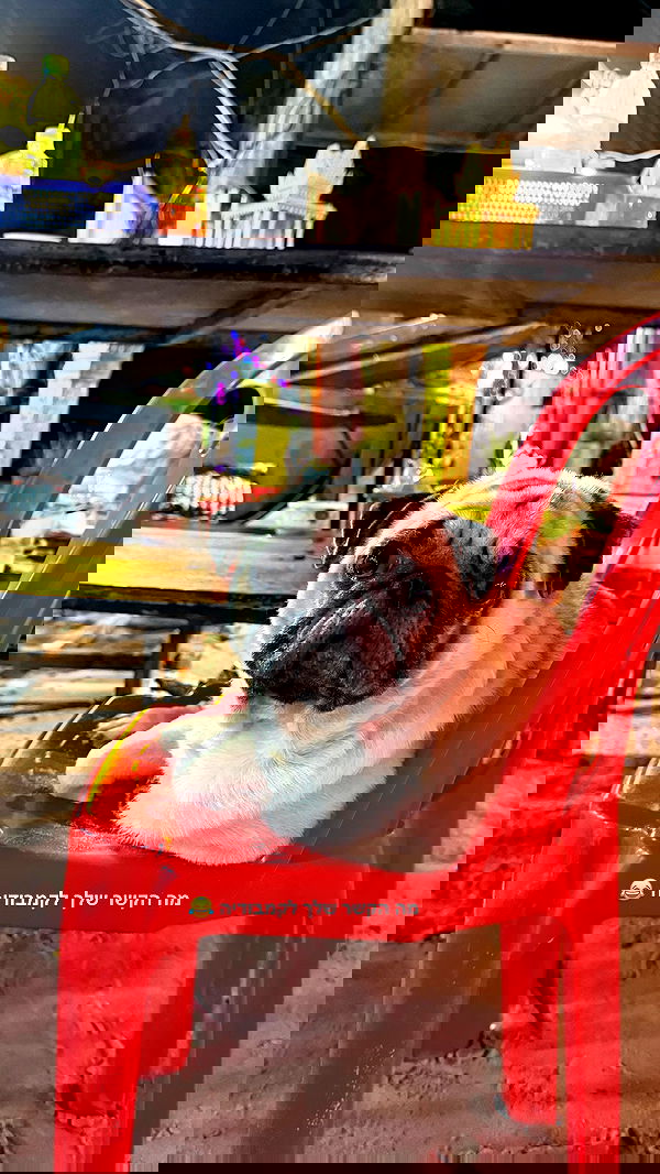 kesemgreenyer image ~ Altpins