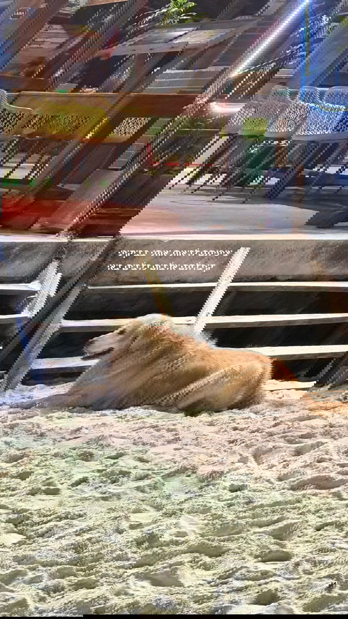 kesemgreenyer instagram image archive image