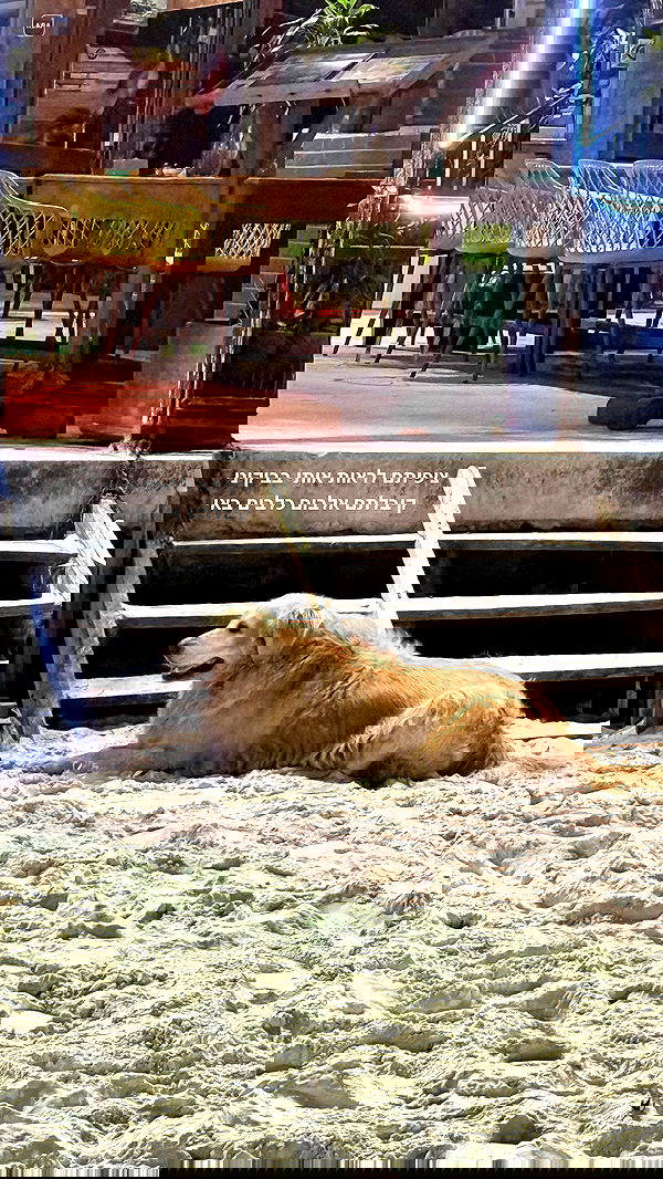 kesemgreenyer image ~ Altpins