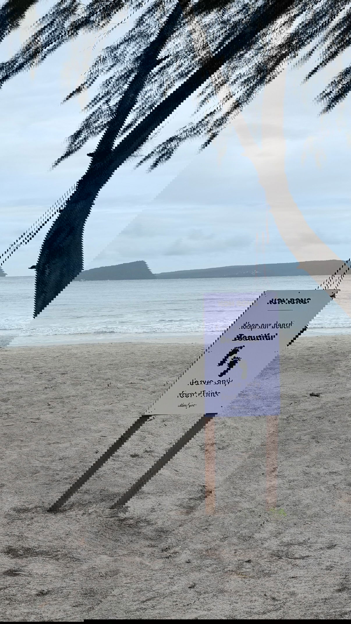 kesemgreenyer instagram image archive image