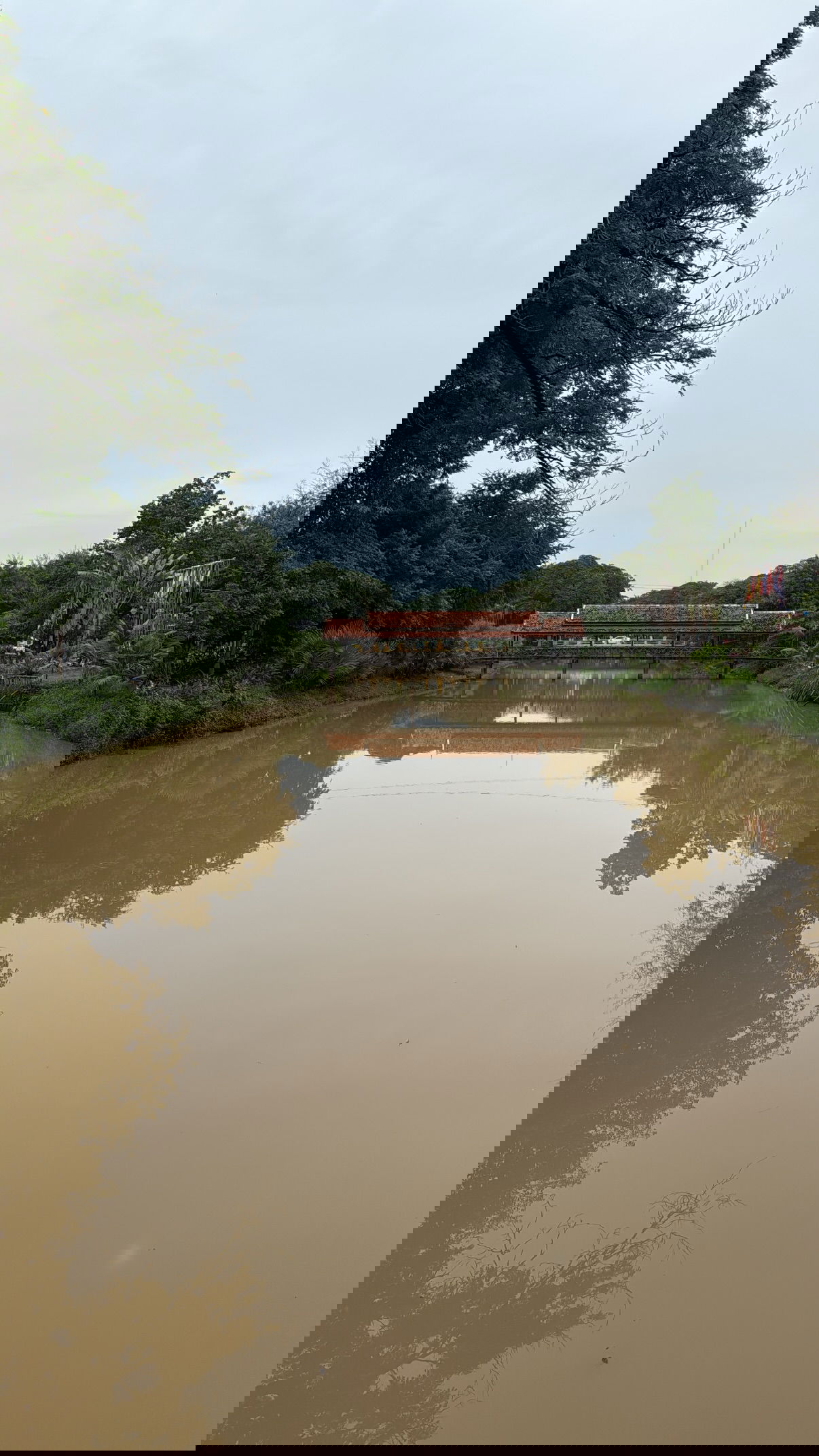 kesemgreenyer instagram image archive image