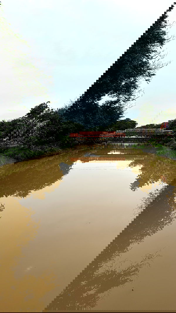 kesemgreenyer image ~ Altpins