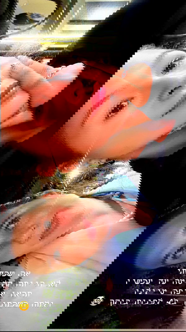 kesemgreenyer image ~ Altpins