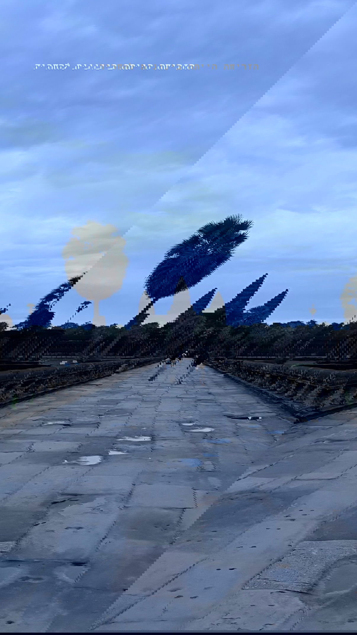 kesemgreenyer instagram image archive image