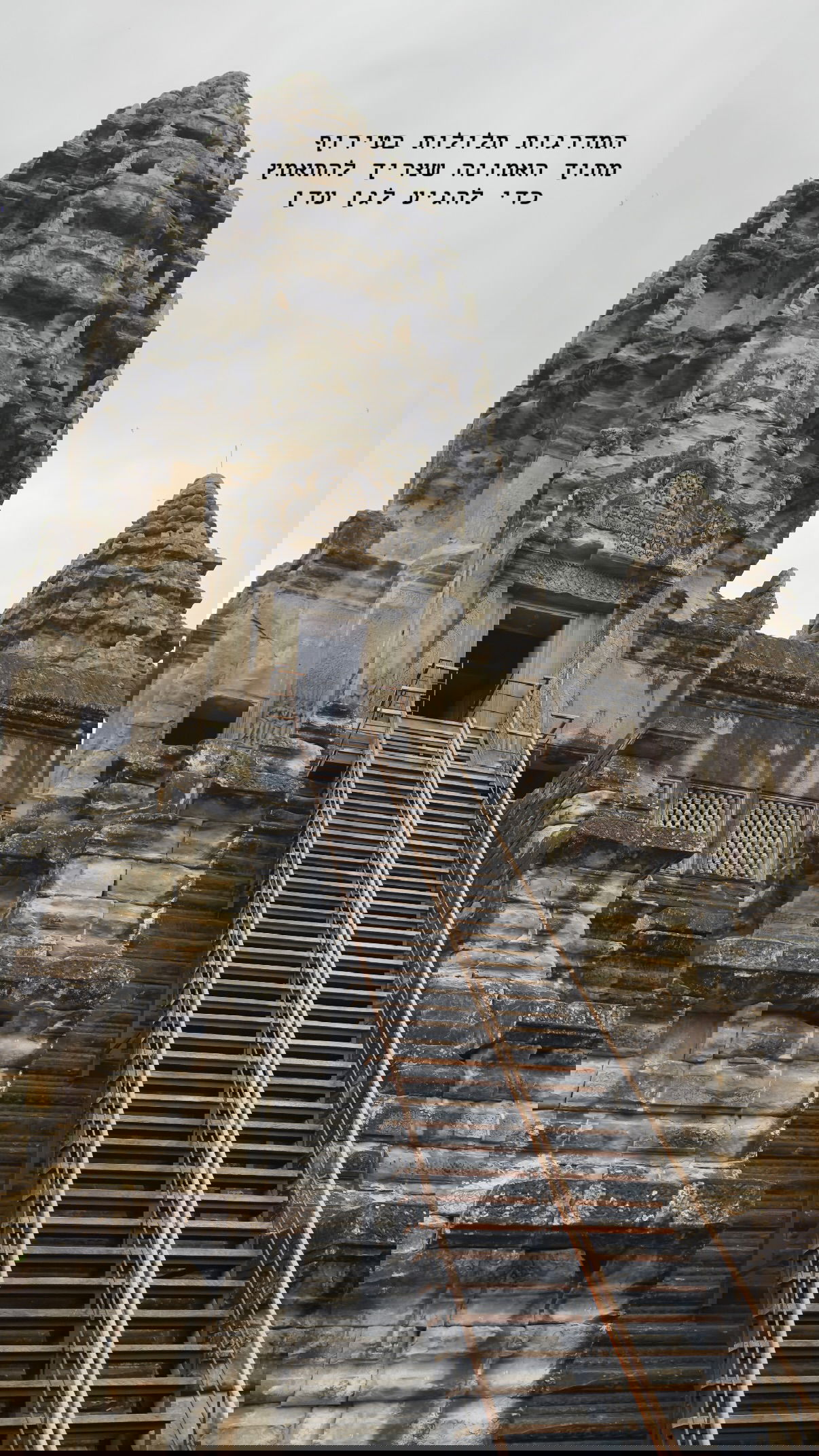 kesemgreenyer instagram image archive image