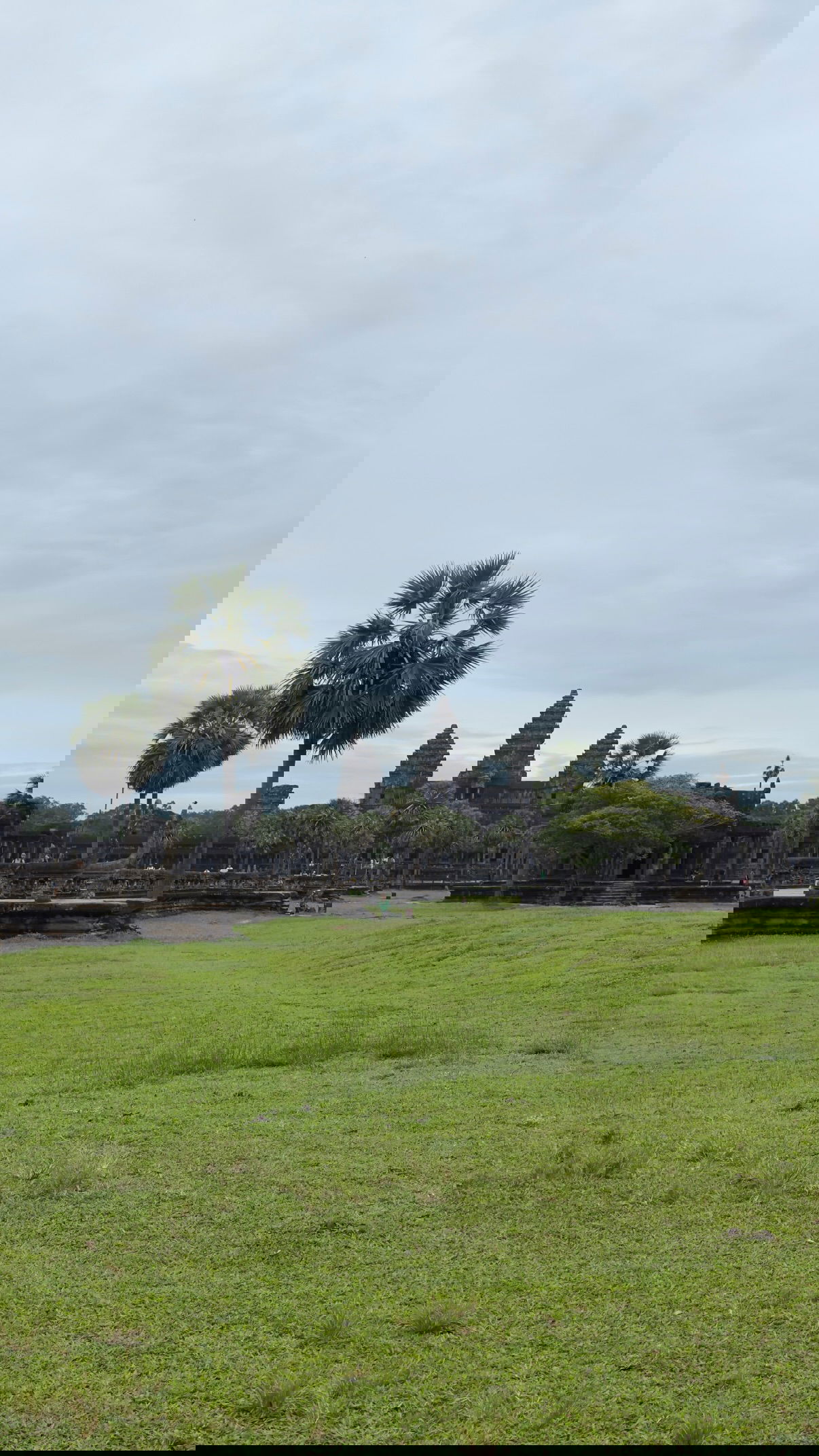 kesemgreenyer instagram image archive image