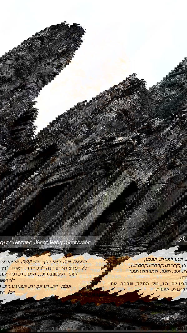 kesemgreenyer image ~ Altpins