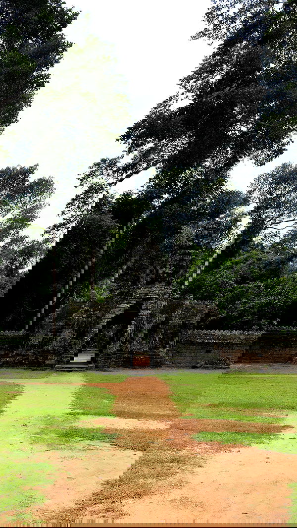 kesemgreenyer image ~ Altpins