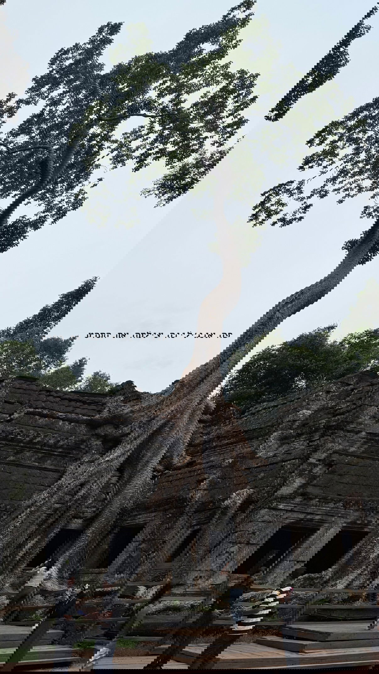 kesemgreenyer instagram image archive image