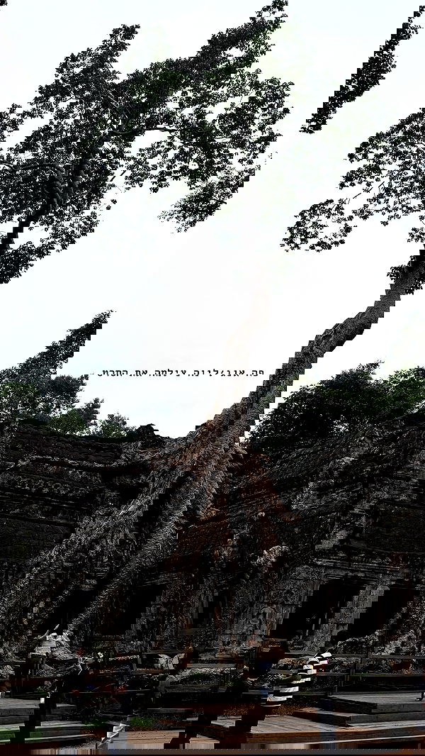 kesemgreenyer image ~ Altpins