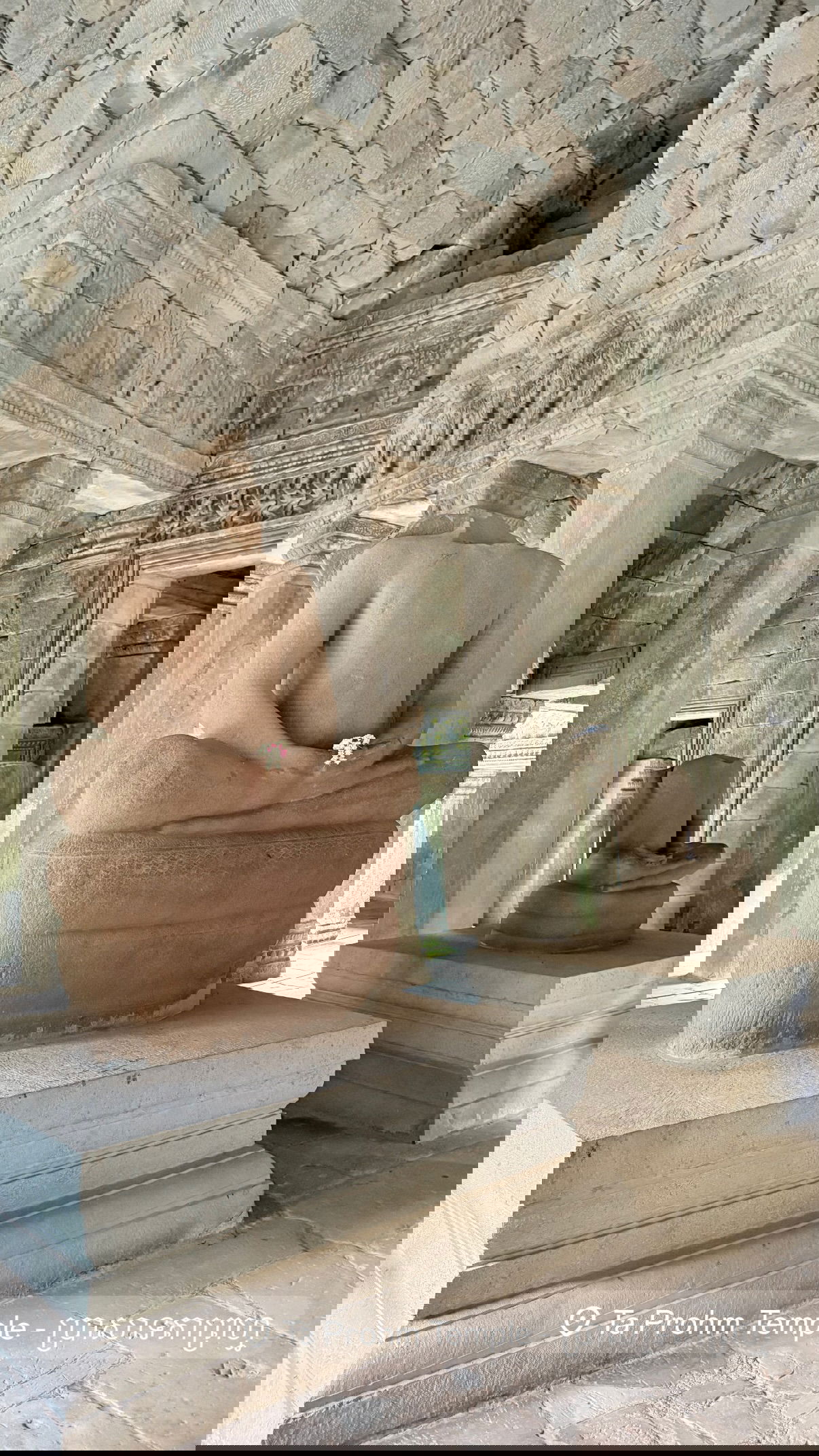 kesemgreenyer instagram image archive image