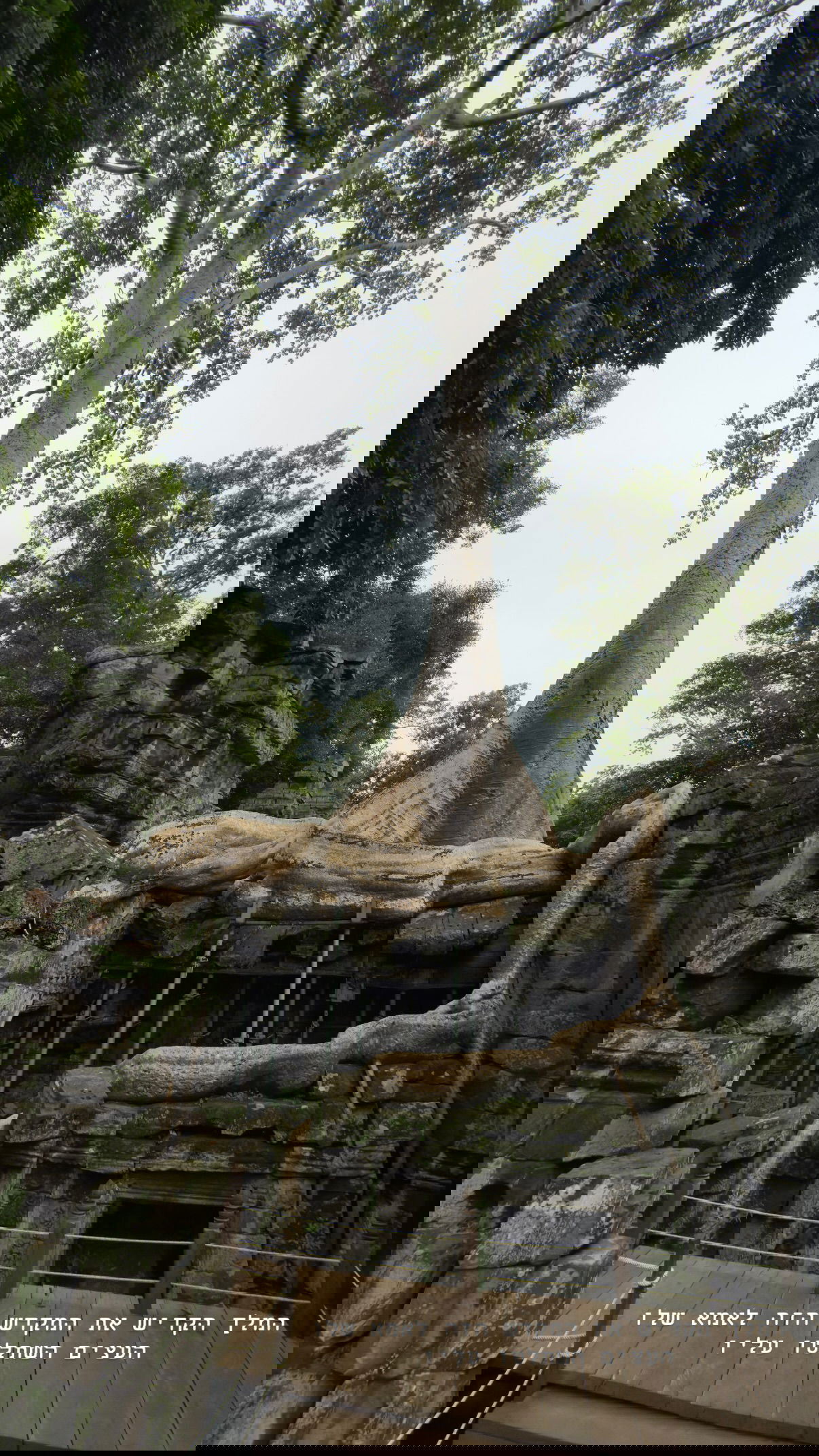 kesemgreenyer instagram image archive image