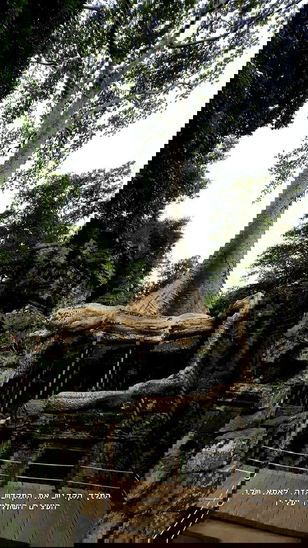 kesemgreenyer image ~ Altpins