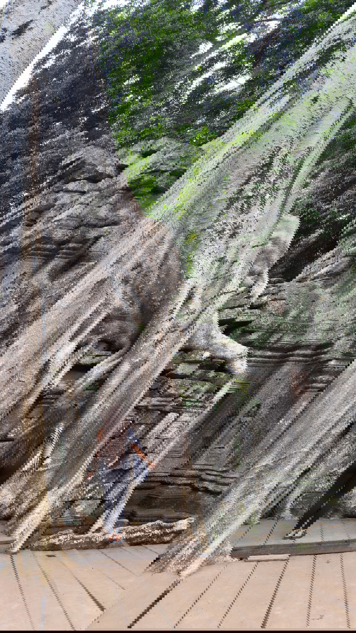 kesemgreenyer instagram image archive image