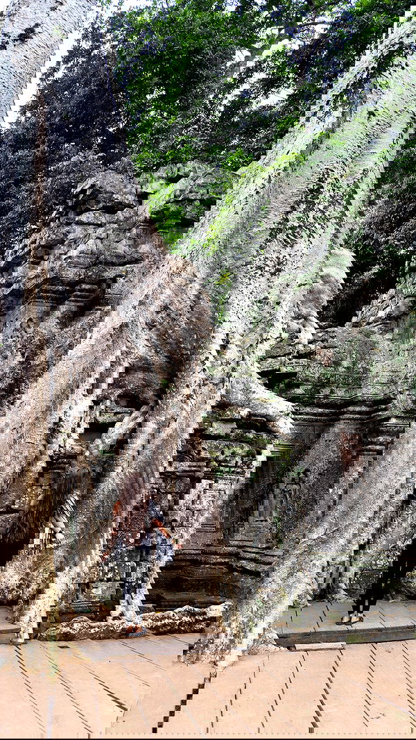 kesemgreenyer image ~ Altpins